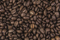 5lb of Shore Brew Medium Roast Whole Coffee Beans